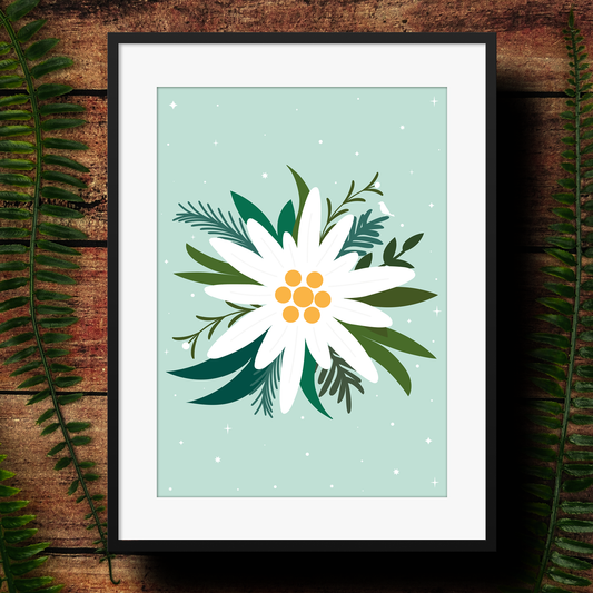 Framed artwork of a modern edelweiss illustration with green leaves on a light green background, surrounded by ferns on a wooden surface.