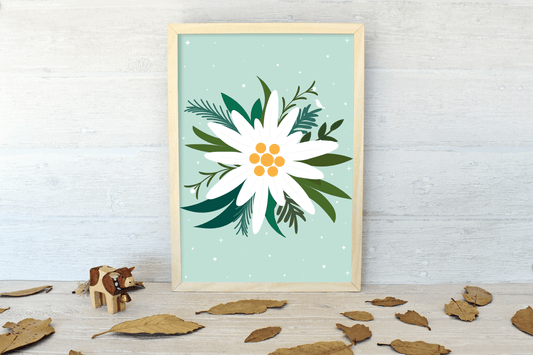 Swiss Edelweiss Art Print