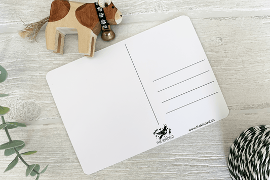 Canton Fribourg Coat of Arms Postcard Set