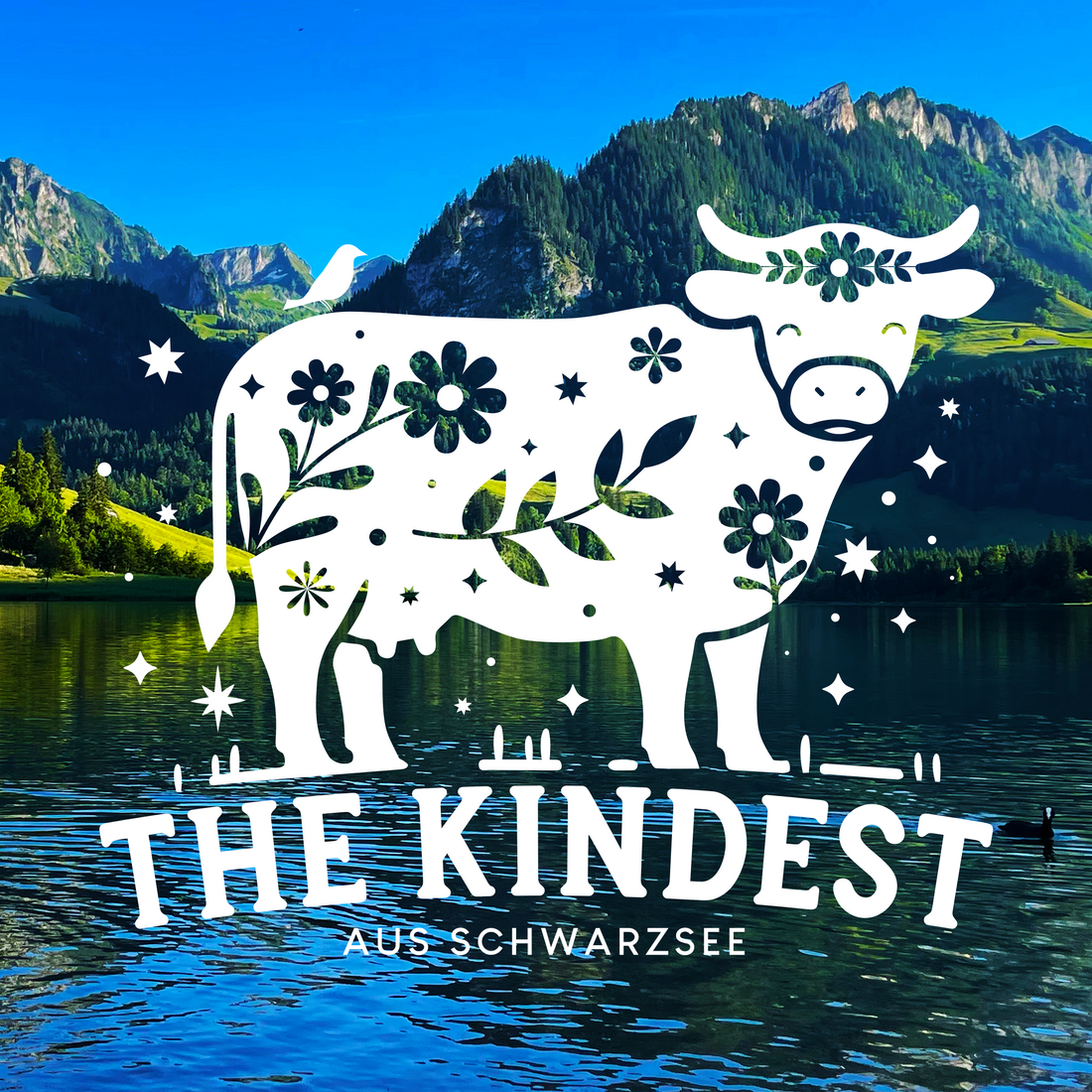 The Kindest has a new look!