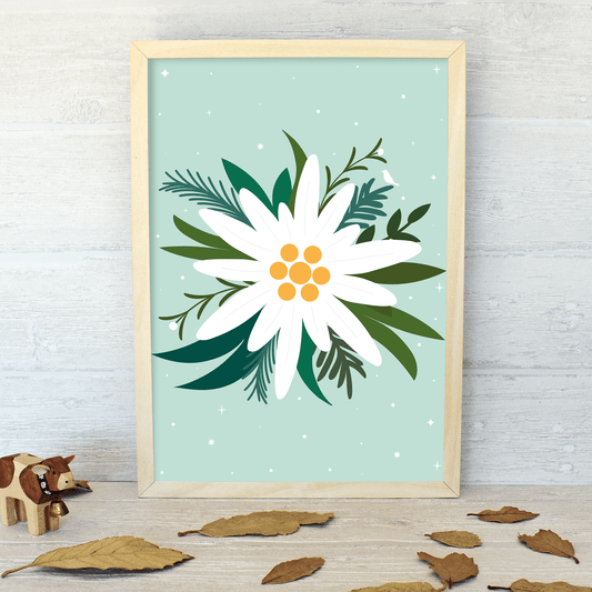 Edelweiss Art Print