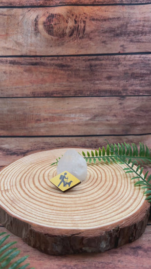video showing wooden pin badge with swiss hiking trail wanderweg symbol with dog switzerland souvenir